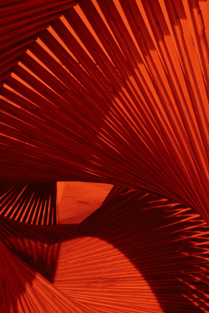 Intriguing red abstract shapes creating dynamic patterns, perfect for art enthusiasts.